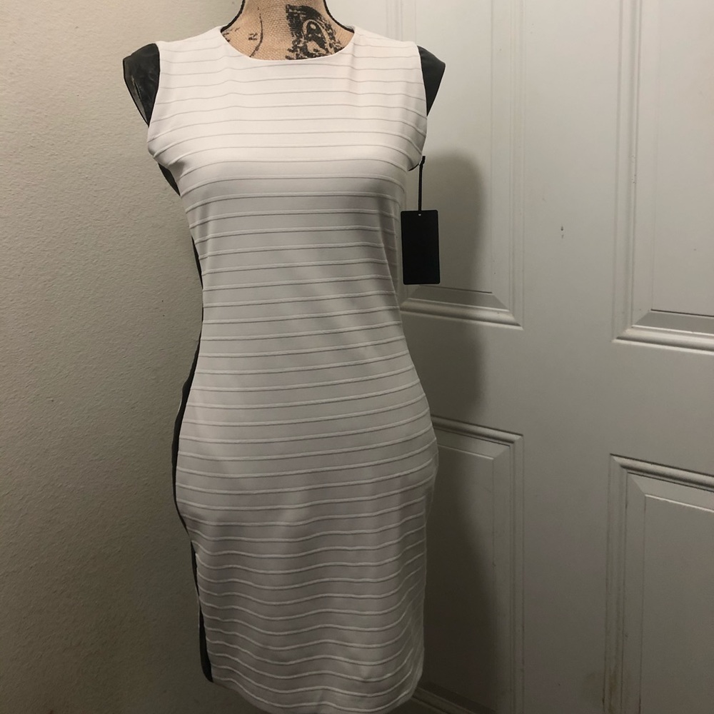 La Pina Sheath by David Helwanj  Dress (NWT) size large.
